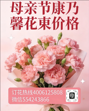 宁波奉化区花店母亲节康乃馨花束